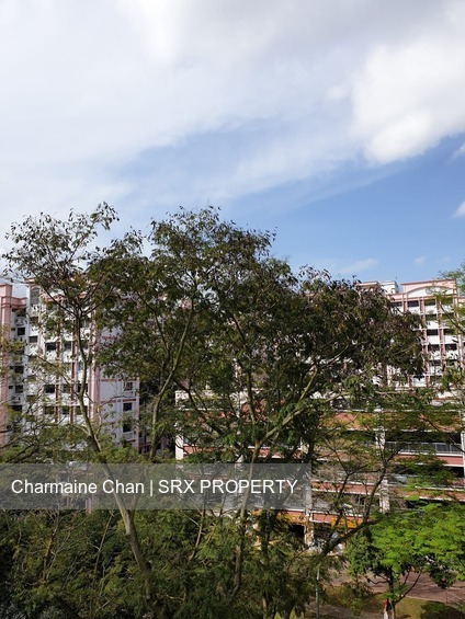 Blk 617 Choa Chu Kang North 7 (Choa Chu Kang), HDB 4 Rooms #192957752